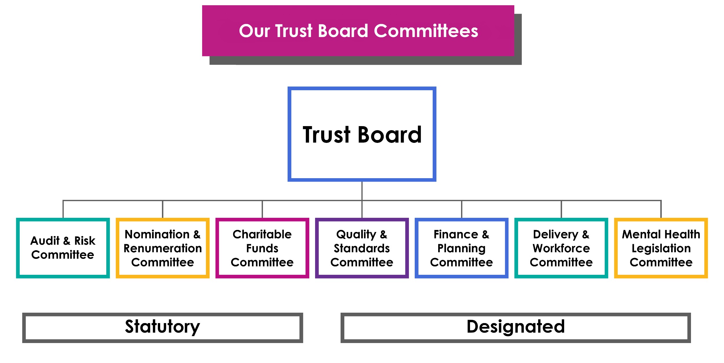 Our Trust Board Committees.jpg