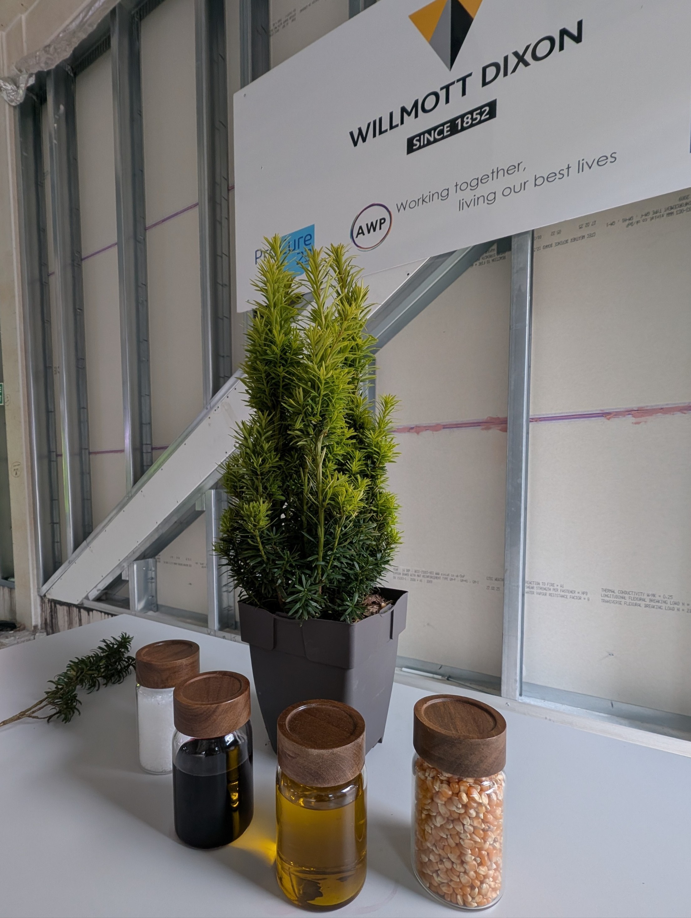 A yew tree, some wine, oil, corn and salt to be placed on the roof of the building to keep out evil spirits.