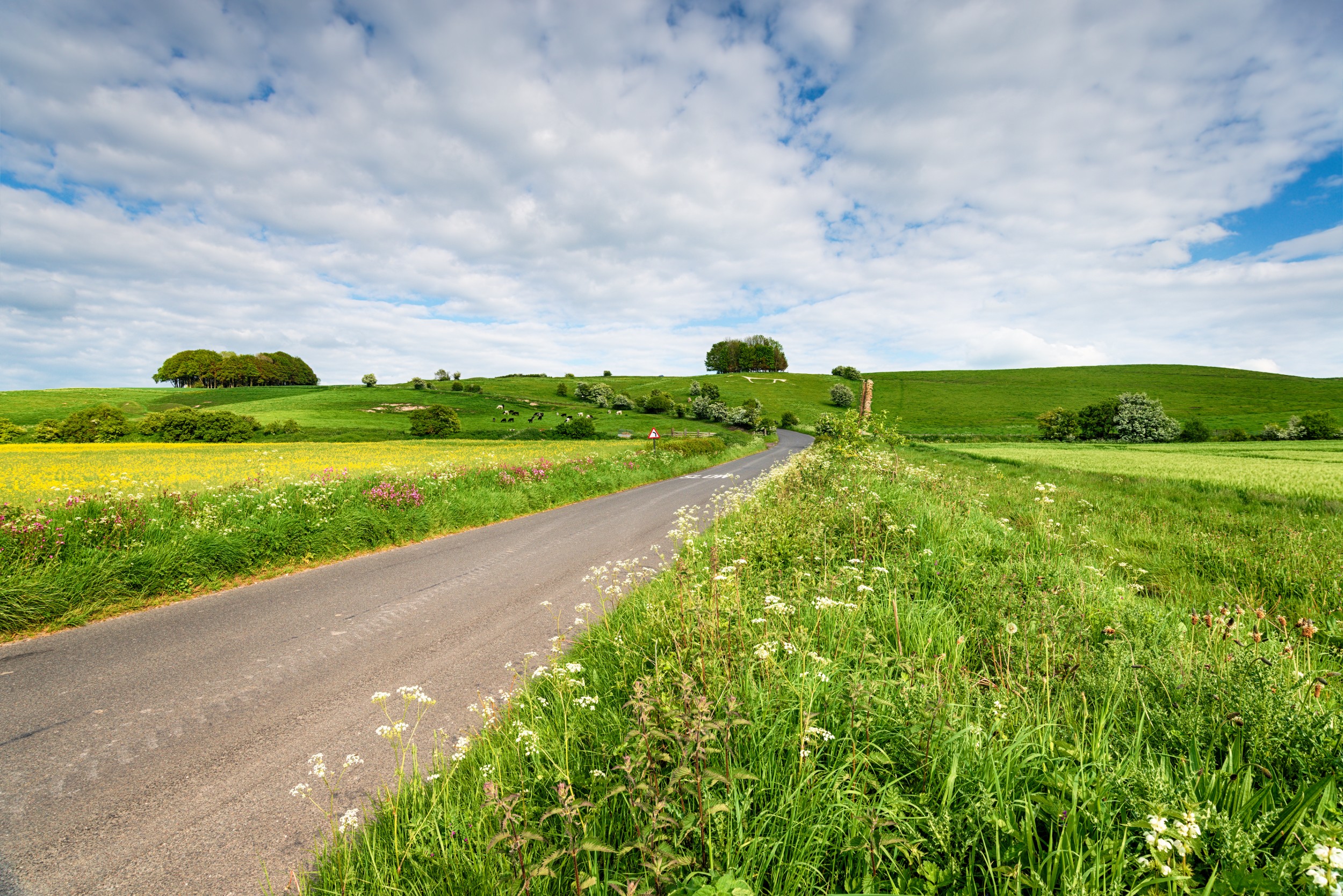 hackpen-hill-and-it-s-white-horse-near-swindon-2021-08-26-16-23-08-utc.jpg