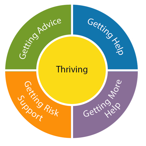 I thrive framework wheel